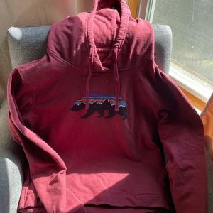 Patagonia Fitz Roy Hoodie